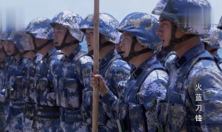 蒋小鱼是哪部电视剧 主演都有谁