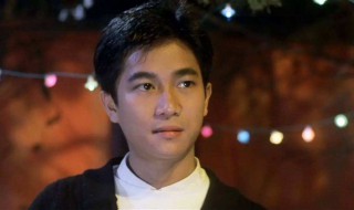 偏偏喜欢你歌词 你是否听过