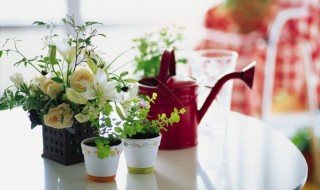 旧花盆怎么装饰表面 装饰旧花盆小技巧