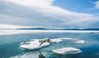 四大洋面积最小的是哪一个 你知道吗