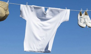 棕色配什么颜色好看 试试这3种颜色