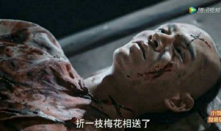 如懿传凌云彻死法 下场凄惨