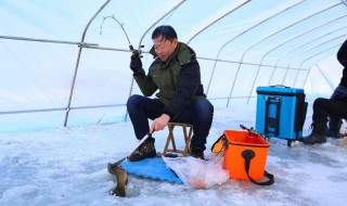 小跳皮钓鱼原理 怎么制作