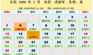 1989年一月十八日阳历 这天是星期几