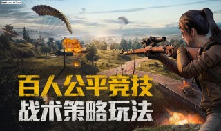 体验服和平精英怎么下载 你懂了吗