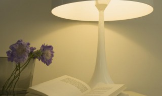 苏阳是哪部小说的主角 苍穹九变