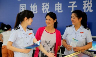 公司注册后什么时候开始报税 有时间规定吗