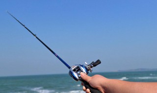 路亚竿能钓什么鱼种 看完就知道了