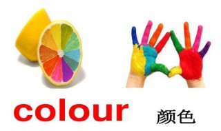 成人快速学英语方法 大人如何短时间内学好英语