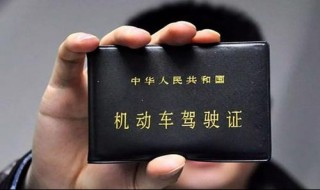 如何查驾驶证分数 驾驶证分数 查询方法