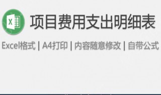 项目开销金额表格模式 都有什么模式