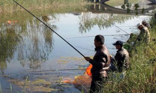 蚯蚓加什么钓鱼冬天最好 有什么技巧