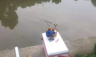 老三样开饵料教程冬季 钓鱼老三样是什么