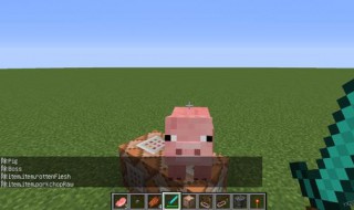 我的世界命令方块造房子指令 操作步骤是什么