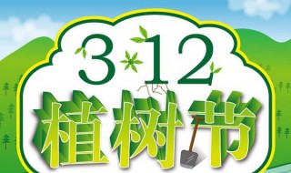 几月几日植树节 植树节的意义