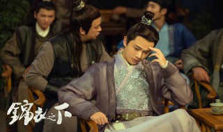 锦衣之下多少集 讲的是什么