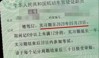 B2驾照实习期满后参加什么考试? 看这些就够了