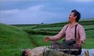 落叶归根电影大结局 谁知道电影落叶归根的结局是什么意思吗？