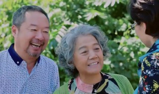 电视剧木兰母亲大结局 木兰母亲电视剧讲的是什么