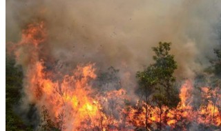 梦见火灾预示着什么 这个你知道吗