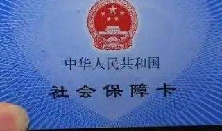 手机交医保怎么下载app 简单方便还实用