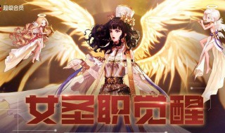 女圣职者加点95 快来看看吧