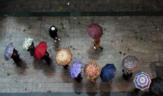 下雨天的心情经典句子 一起来感受一下