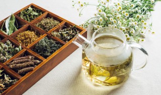 昔归茶特点 一到七泡口感各不相同