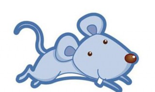 属鼠人最一鸣惊人的话 你知道是什么吗