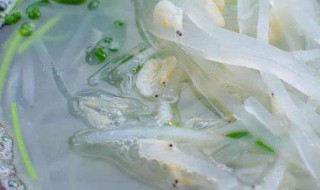 青萝卜汤做法窍门 怎么做萝卜汤