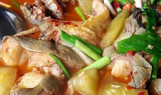 怎么炖鲶鱼好吃 炖鲶鱼的方法