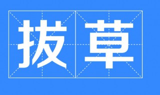 网络语拔草的意思 拔草的意思介绍