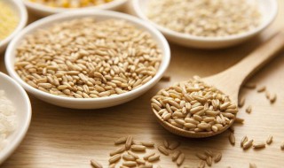 麦片减肥方法 燕麦中有矿物质吗
