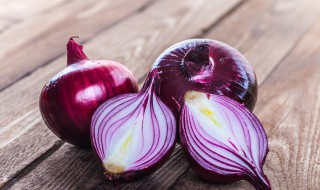 水培洋葱的方法 如何用水培种植洋葱