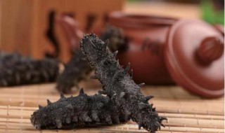 海参发泡方法 海参怎样发泡