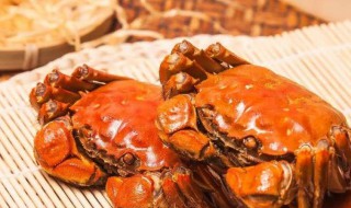 大闸蟹存放方法 大闸蟹存放方法有哪些