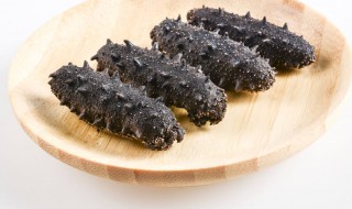 干海参的泡制方法 海参的营养价值