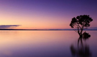 梦见看风景是么意思 梦见看风景有什么寓意