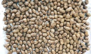 奶香山药豆窍门 奶香山药豆做法步骤技巧