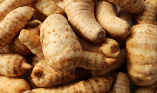 天麻适合在什么地方种植 天麻要在哪些地方种植才合适