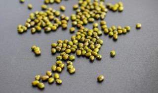 绿豆泡发方法 怎么泡发绿豆