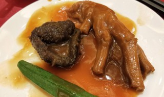 鹅掌海参怎么做 鹅掌海参做法介绍