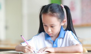 感受一朵花的美好作文 关于感受一朵花的美好的作文范文