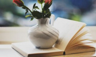 不但而且造句子 不但而且造句集锦