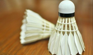 羽毛球花球技巧 羽毛球花球有什么技巧