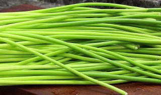 种蒜苔方法 怎么种植蒜苔