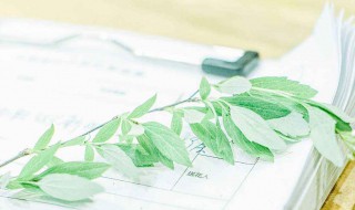 文艺网名小清新 文艺范的网名女生简单小清新