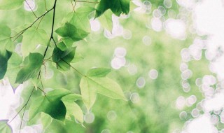 女生文艺网名 女生文艺网名有哪些