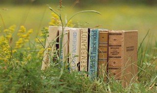 文艺网名女生唯美简短 唯美小清新的文艺网名