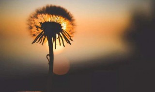 二个字简单的微信名 二字网名大全